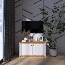 Тумба 2ДВ 980 Нордик