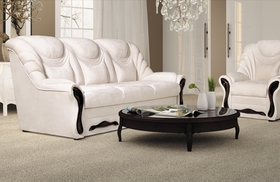 Комплект Невада (дельфін)