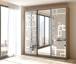 Шкаф-купе Феникс зеркало+пескоструй 4