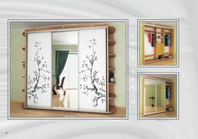 Шкаф-купе Феникс зеркало+пескоструй 3 