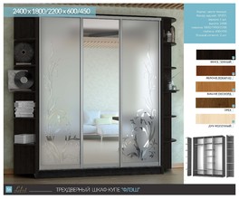  Шафа-купе Флеш пескоструй + дзеркало 2