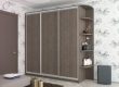 Шкаф-купе Стандарт ДСП