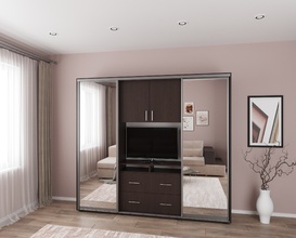 Шкаф-купе Омега ТВ