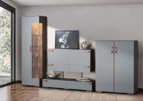 Модульная гостиная Отто (ОТТО) 2