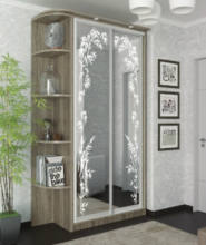 Шкаф-купе Стандарт Пескоструй