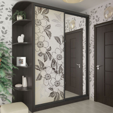 Шкаф-купе Стандарт зеркало+пескоструй